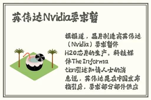 一边做饭一边狂做最有效的一句免费观看